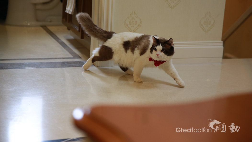 林內(nèi)熱水器拍攝花絮